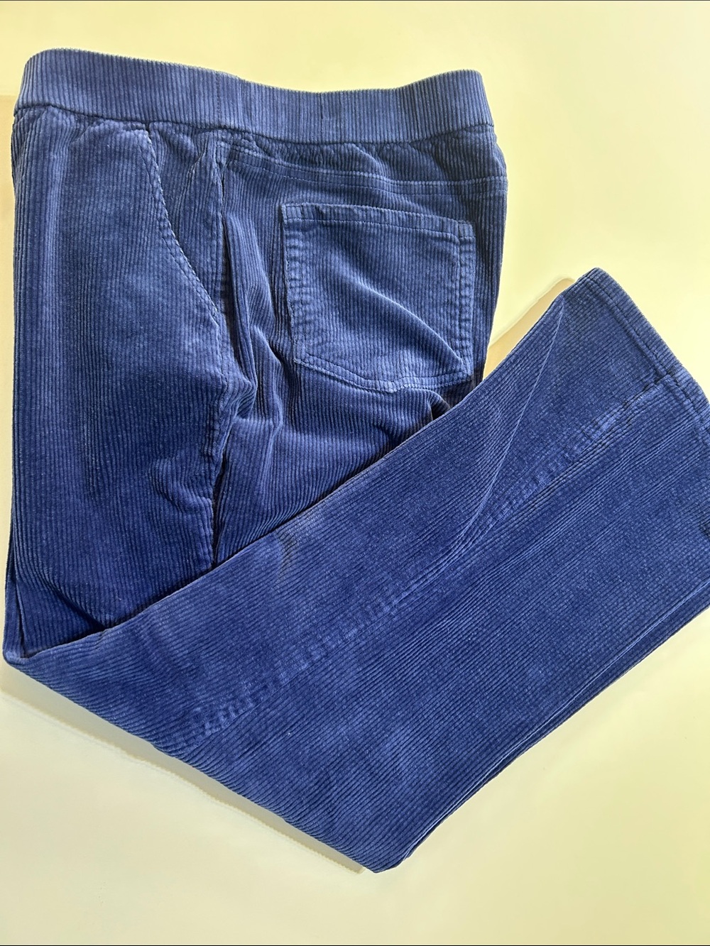 Denim & Co. Blue Corduroy Pull-On Pants Size 12 Petite grandma core